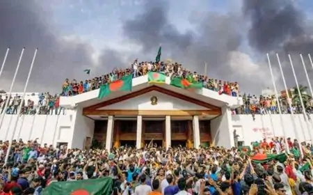 আরও বড় হলো জুলাই শহীদ ও আহত জুলাই যোদ্ধার তালিকা, গেজেট প্রকাশ