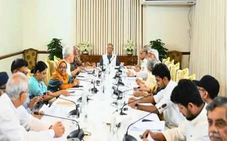 আট উপদেষ্টার বিরুদ্ধে ‘দুর্নীতির’ অভিযোগ নিয়ে তোলপাড়, এখন কী হবে