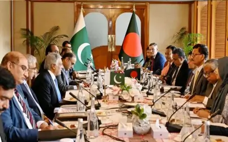 একাত্তর ইস্যুতে পাকিস্তানের দাবির সঙ্গে একমত নয় ঢাকা: পররাষ্ট্র উপদেষ্টা