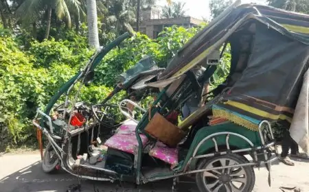 খুলনায় ট্রাকের ধাক্কায় প্রাণ গেল ৩ জনের