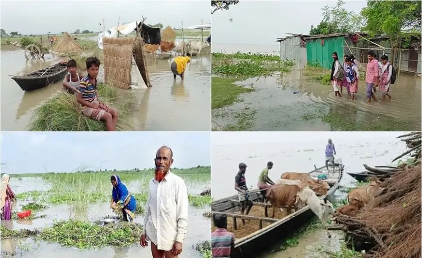 রাজশাহীতে পদ্মা নদীর পানি বাড়ছে, নিম্নাঞ্চল প্লাবিত