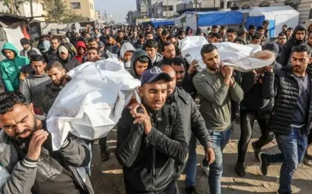 গাজায় ইসরায়েলি হামলায় আরও ৭৯ ফিলিস্তিনি নিহত