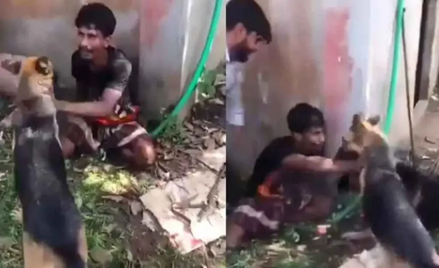 চোর সন্দেহে যুবককে ধরে কুকুর লেলিয়ে দেওয়ার ভিডিও ভাইরাল