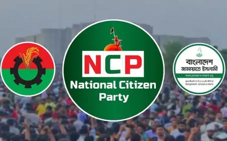 বিএনপি নাকি জামায়াত- কোন দিকে যাবে এনসিপি?
