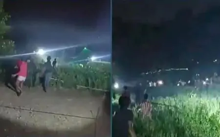 ব্রাহ্মণবাড়িয়ায় ধানক্ষেতে টর্চলাইট জ্বালিয়ে সংঘর্ষ, আহত ১৫
