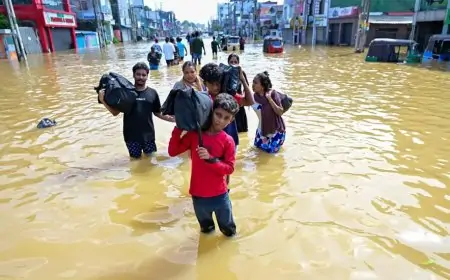 ঘূর্ণিঝড় ‘ডিটওয়াহ’র তাণ্ডবে শ্রীলংকায় মৃতের সংখ্যা ২০০ ছাড়াল