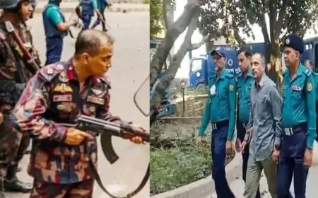 বিজিবির রেদোয়ানুলসহ চারজনের বিষয়ে আজ অভিযোগ গঠনের আদেশ