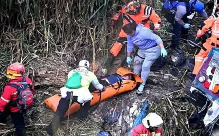 গুয়াতেমালায় ঘন কুয়াশায় পাহাড়ি খাদে বাস পড়ে নিহত ১৫