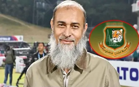 শোকজের জবাব দিলেন বিসিবি পরিচালক নাজমুল ইসলাম