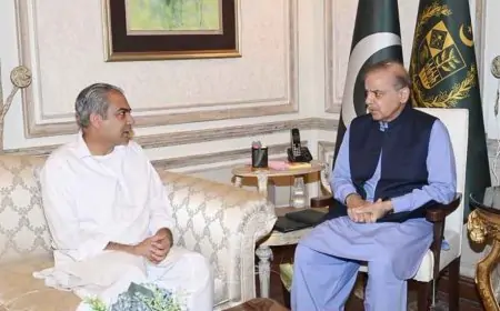 বিশ্বকাপ খেলা নিয়ে পাকিস্তানের চূড়ান্ত সিদ্ধান্ত জানা যাবে আজ