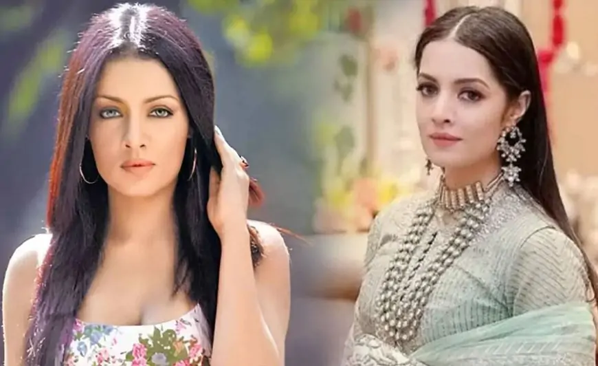 সেলিনা জেটলি ‘উপহার’ হিসেবে পেয়েছিলেন ডিভোর্সের নোটিশ