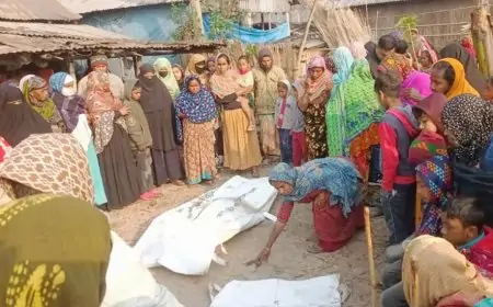 নাটোরে আগুনে পুড়ে মা-মেয়ের মৃত্যু