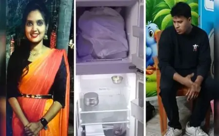 প্রেমিকাকে হত্যার পর টুকরো টুকরো করে ফ্রিজে রাখলেন প্রেমিক  