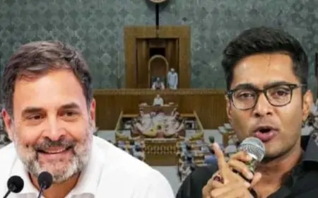 অভিষেককে রাহুলের ফোন, রাজনীতিতে নতুন সমীকরণের ইঙ্গিত