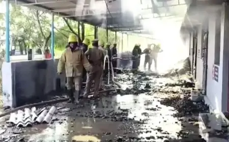 ভারতে বাজি তৈরির কারখানায় বিস্ফোরণে নিহত ২০