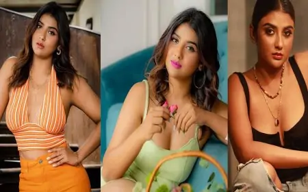 অভিনেত্রী পার্নোর নতুন অধ্যায়
