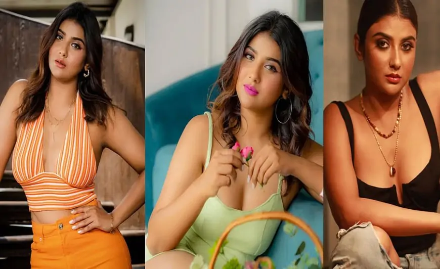 অভিনেত্রী পার্নোর নতুন অধ্যায়