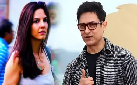 আমিরের তৃতীয় বিয়েতে কেমন হবে জাঁকজমক?