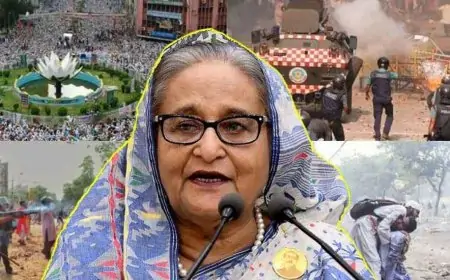 শাপলা চত্বর হত্যাকাণ্ড, শেখ হাসিনাসহ ৪১ জনের বিরুদ্ধে অভিযোগ দাখিল