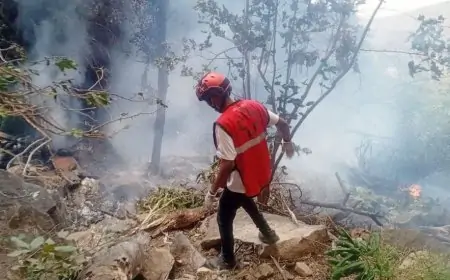 কেনিয়ায় হেলিকপ্টার বিধ্বস্ত হয়ে ইকুয়েডরের গোয়েন্দাপ্রধানসহ ৭ জন নিহত