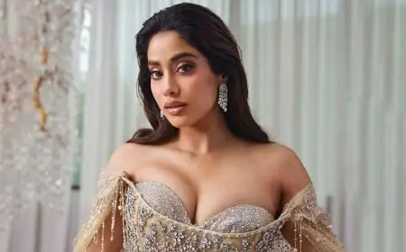 জাহ্নবীর ৫৫২টি ‘পর্নোগ্রাফি’ কনটেন্ট লিংক নিয়ে আদালতের নির্দেশ