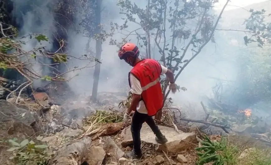 কেনিয়ায় হেলিকপ্টার বিধ্বস্ত হয়ে ইকুয়েডরের গোয়েন্দাপ্রধানসহ ৭ জন নিহত